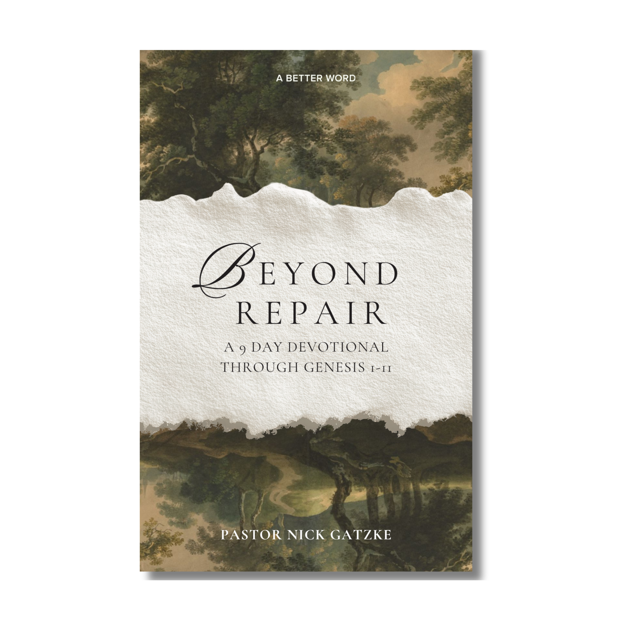 Beyond Repair book cover