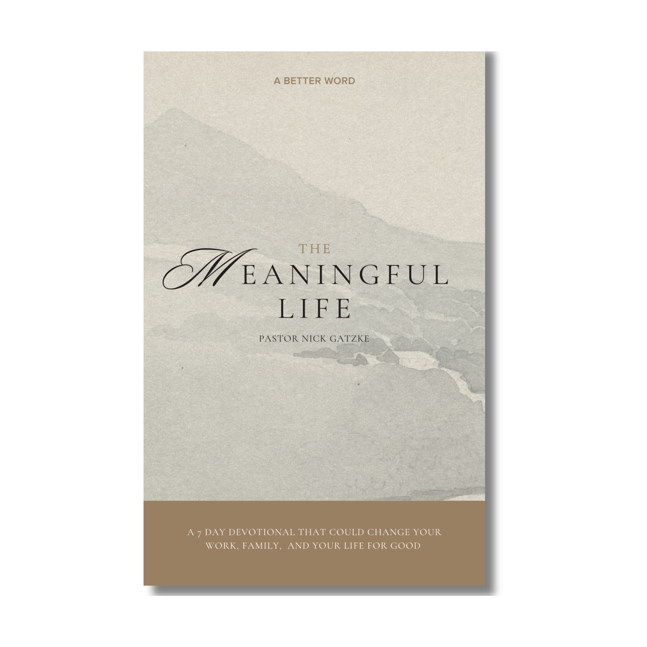 The Meaningful Life book cover