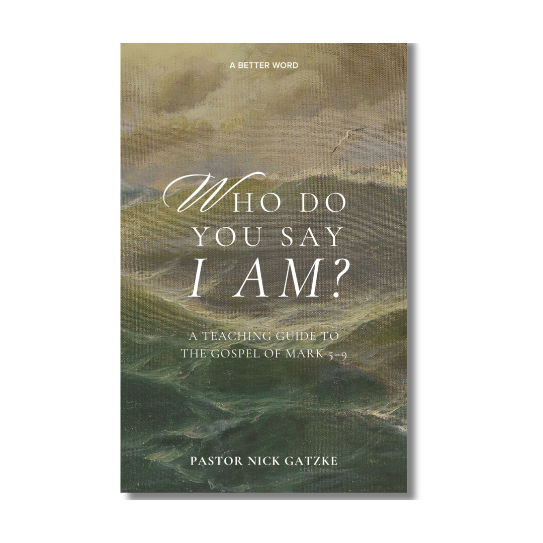 Who Do You Say That I Am? book cover